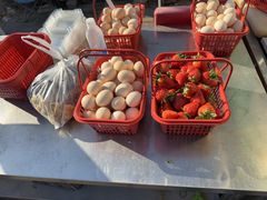 -大自然农场蔬菜草莓采摘园