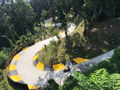 -圣淘沙天际线斜坡滑车