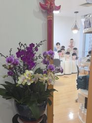 -靓康增发补发假发