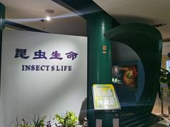 -上海昆虫博物馆