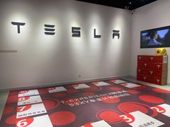-TESLA 特斯拉(北京颐堤港体验店)
