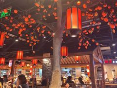 -鸽子窝(青塔店)