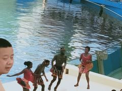 -秦皇岛乐岛海洋王国