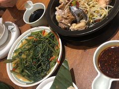 -云海肴·汽锅鸡·云南菜(美罗城店)