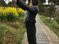 -南汇桃花村