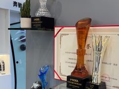 -车艺尚上海龙膜隐形车衣汽车贴膜旗舰店