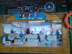 -海合安成都极地海洋公园