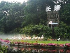 -广州长隆飞鸟乐园