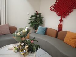 -金都微美·精准护肤·疗愈SPA