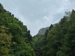 -剑门关风景区