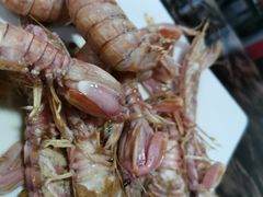 特价皮皮虾-张树军海鲜(王府壹号店)