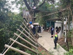 -芦仙山景区-飞越丛林探险乐园