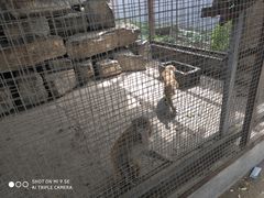 -河北村民俗体验园