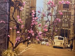 -老伙记海鲜码头(北滘店)
