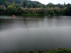 -潮州西湖
