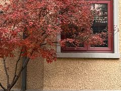 -颐和路民国时期公馆风貌区
