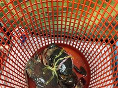 -ZF Seafood Restaurant 卓峰海鲜餐