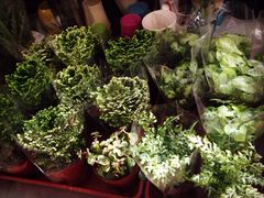 双季花艺园艺市场-双季花艺园艺市场(浦东店)