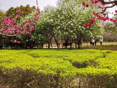-郑州植物园