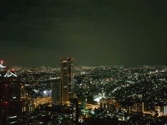 -东京都厅舍