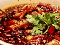-许家菜(DT51店)