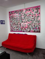 -威德钻石-克拉钻大本营(南京东路店)