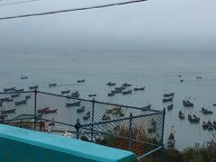 -枸杞岛