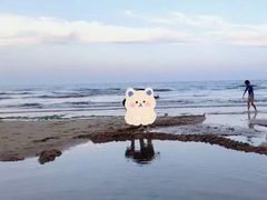 -日照灯塔风景区