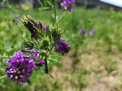 -西北湖绿化广场