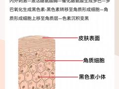 -百联南桥购物中心