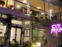 -有猫主题·治愈系猫咖(曾厝垵店)
