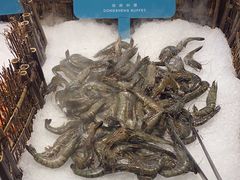 -東盛炭烤自助料理(浦东文峰广场店)