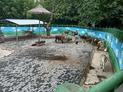 -西安秦岭野生动物园