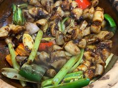 -天宝食坊·啫啫煲大排档(西华路店)