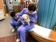 -联合动物医院(光谷诊疗中心)