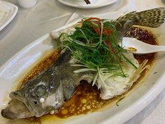 -清心鸡沙田乳鸽店·非遗传承(粤垦路店)