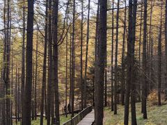 -苏木山森林公园