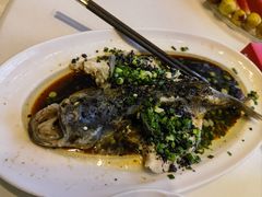 -樽宴酒楼·地道川菜·品质宴请