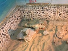 -上海大自然野生昆虫馆(东方明珠·爬宠昆虫探索中心)