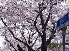 -永乐路-路侧停车场