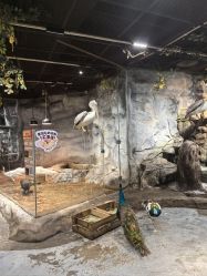 -Zoolung Zoolung动物主题公园(海信广场店)