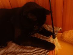 -春风十里咖啡馆