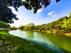 -昆山城市生态森林公园