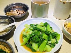 -广达眼镜炖罐(广达店)
