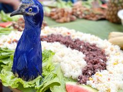 -西双版纳傣族园