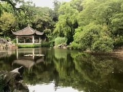 -叶家花园