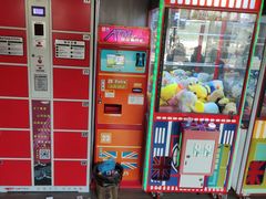 -锐擎卡丁车主题乐园(郊野公园店)