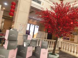 -禾丽康美医疗美容医院