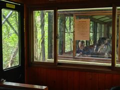 -合肥滨湖国家森林公园