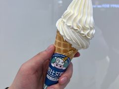 -波比艾斯(步步高梅溪新天地店)
